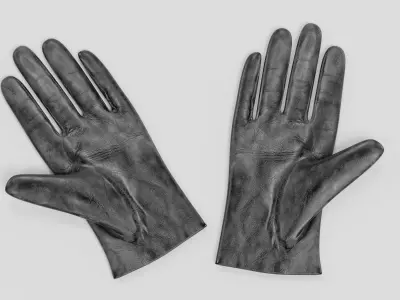 -Leather Gloves - Women- 3D model