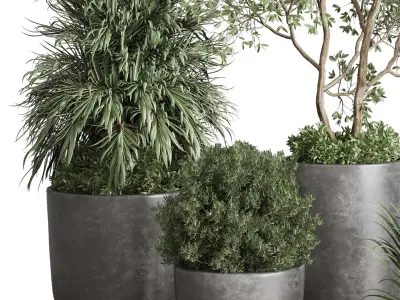 outdoor plant set 160 pot old tree bush palm in Low-poly 3D model