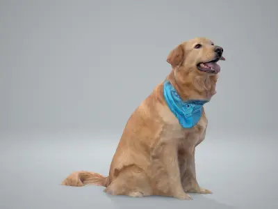 Sitting Dog Labrador Dog0002-HD2-P01-S 3D model