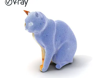 Realistic Cat D Model Pack Low-poly 3D model purchase
