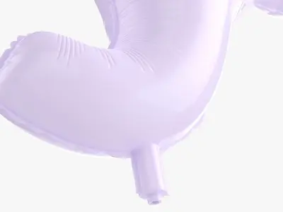 Elephant decoration foil balloon 10 3D model