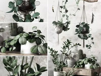 Plant Set in pot 3D model