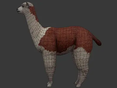 Alpaca llama Low-poly 3D model