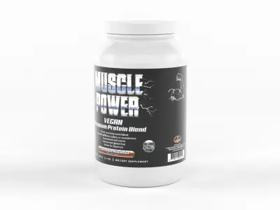 Protein Powder 3D model
