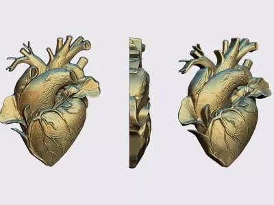 Heart 03 3D print model