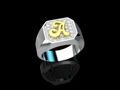 Ring Number 20 3D print model