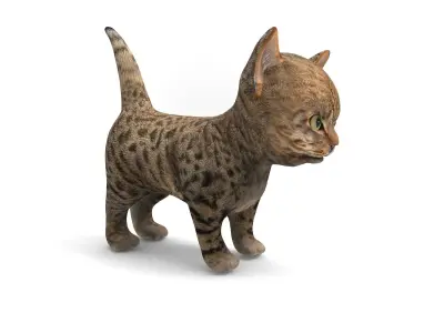 3D Tamed Cute Cat  Low-poly 3D model