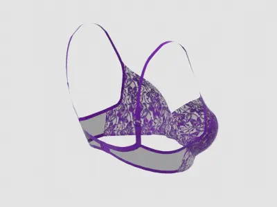 Wired Lace Bra 3D model