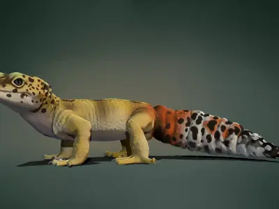 Leopard Gecko 3D model