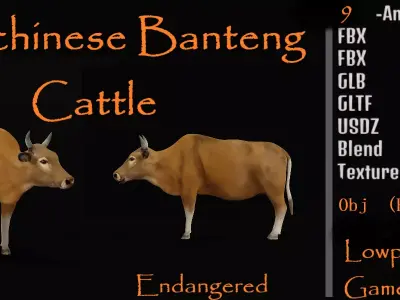 Indochinese Banteng Cattle Low-poly 3D model