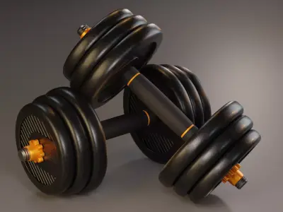 Dumbbell dumbbells Free 3D model