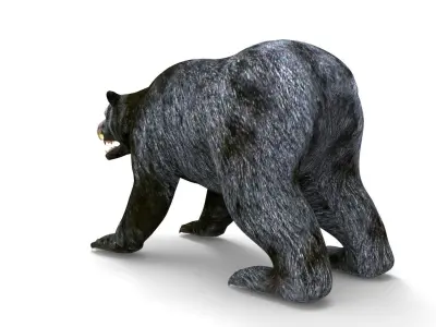 Black Bear Rigged 3D Models Low-poly 3D model