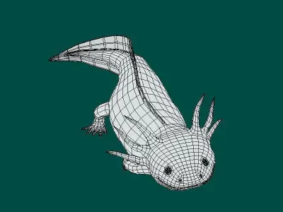 Axolotl Low-poly 3D model