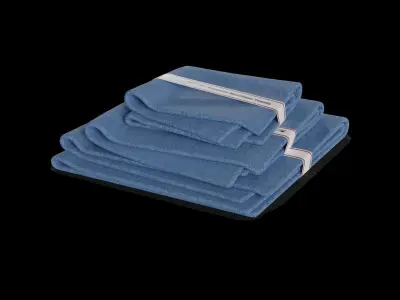 Other car care Microfiber Towel Set 3D model