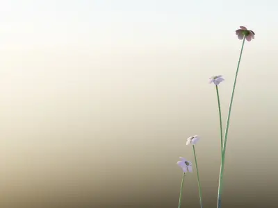 Low poly plants pack - 5 Units Low-poly 3D model