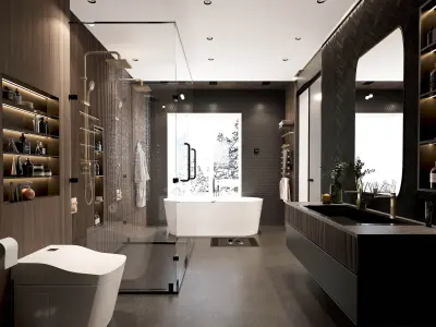 Dark Luxury Bathroom Dressing Room Interior  3D model