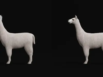 Llama Low-poly 3D model