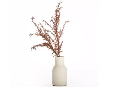 Bouquet Of Dried Flowers Red Branches Of Solidago 531 3D model