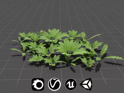 Realistic Leafy Plants and Weeds - High Quality Low-Poly Models Low-poly 3D model