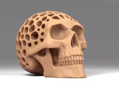 Organic Decorative Skull Figurine 3D print model