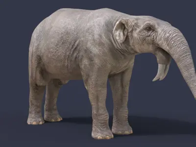 Deinotherium proavum Low-poly 3D model
