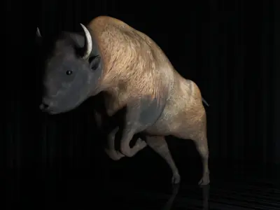 Bison rigged Low-poly 3D model