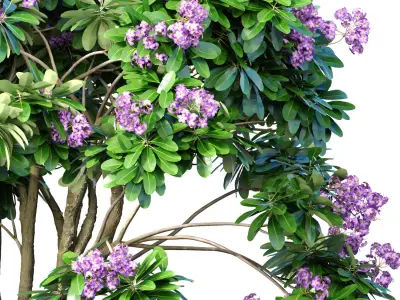 Decorative flowering garden tree decoration Provence style lilac 3D model