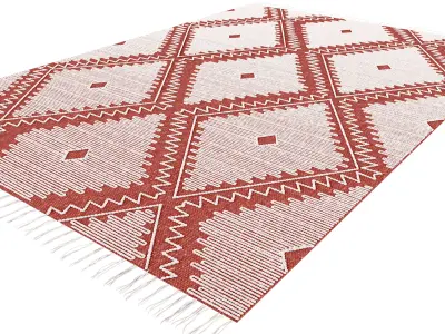 Tierra Natural Rug 3D model