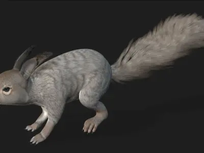 Squirrel-A1 3D model