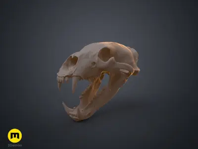 Realistic Animal Skull Collection 3D print model
