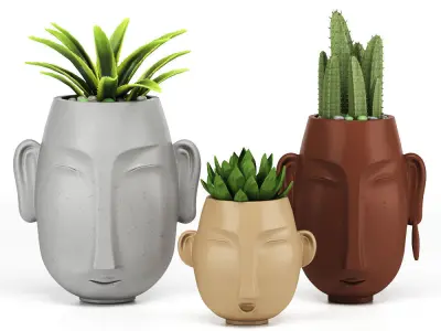 decore set three concrete planters with cactus plants 3D model