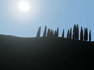 Tree cypress for distance view adapted for games  Low-poly 3D model