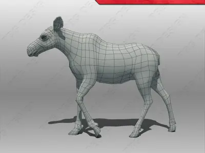 Baby Moose Animated 3D model