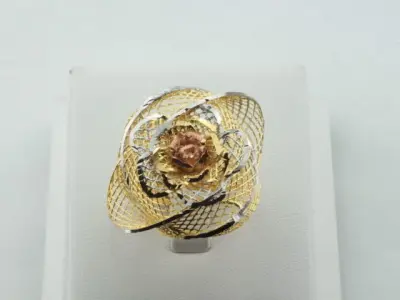 ring fusion 3D print model