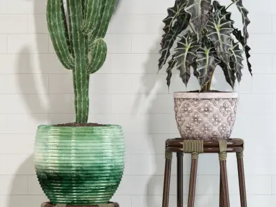 Plants collection 123 3D model