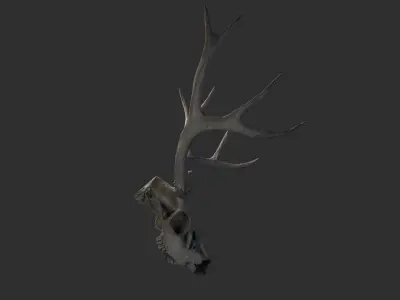Deer skull Low-poly 3D model