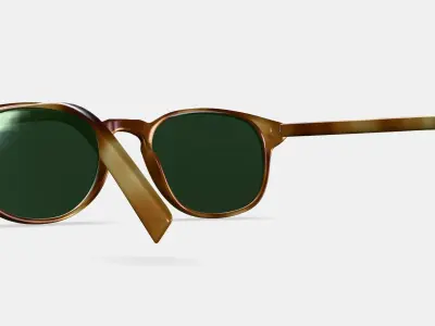 Downing Sunglasses in English Oak 3D model
