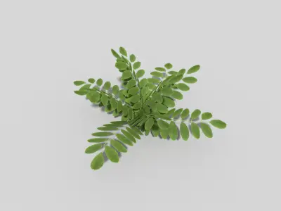 Low poly Plant fern Low-poly 3D model