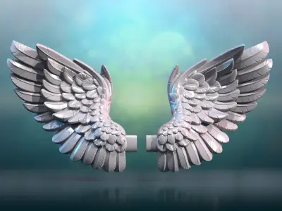 Angel Wings 3D print model