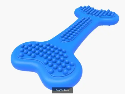 Pet Accessories Collection