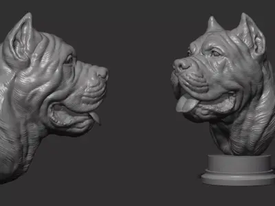 Canne Corso bust version 1 3D print model