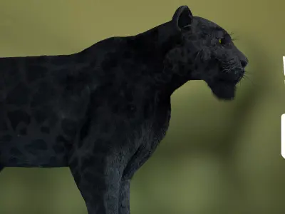 Black panther Jaguar Photorealistic Rigged 3d Blender 4K model  3D model