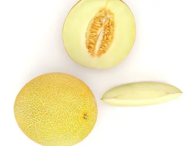 Galia melon 3D model