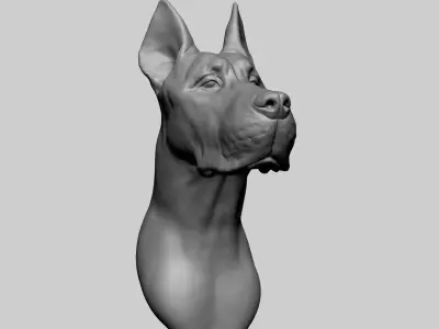 Dog Bust 3D model