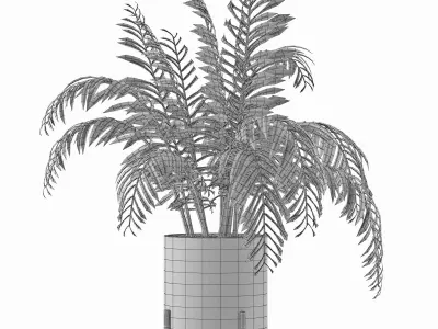House Plant 38 3D model