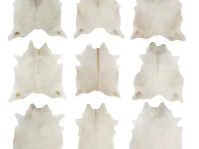 White Cowhide Rugs Collection 3D model