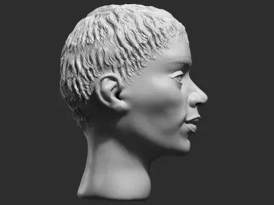 human female head modern sculpture 3d print model 113 3D print model