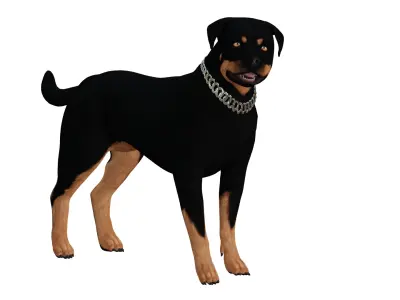 Rottweiler Dog Low-poly 3D model