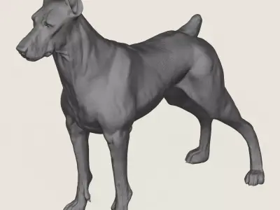 Doberman Dog Pose Collection 3D print model