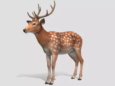 Deer - Stag Low-poly 3D model
